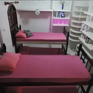  Albergue Planet Barra Brasil